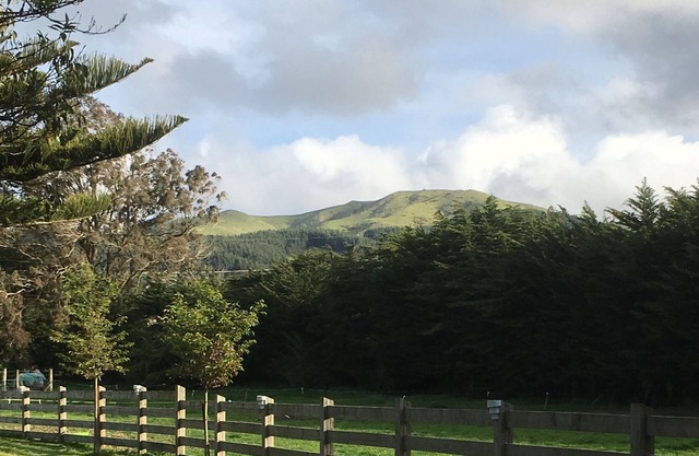 Countryside Cabin, Overlooking farmland and Ruahine Ranges