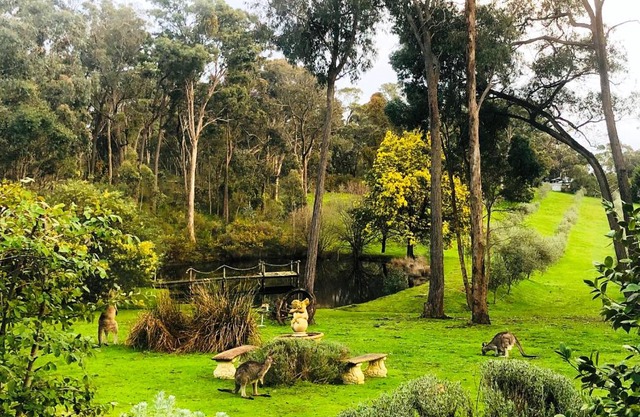 Countryside Retreat romantic tranquil native wildlife township Hepburn - Daylesford