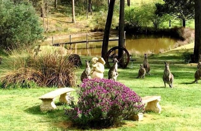 CAMPO ESTUDIO íntimo Daylesford-Hepburn