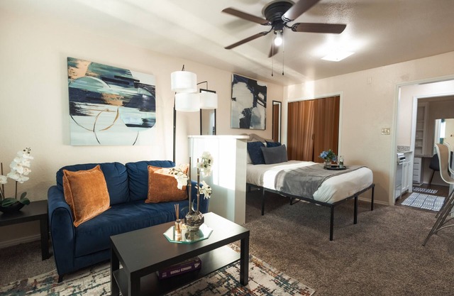 Cowboys Chic Studio: 3 miles to AT&T Stadium