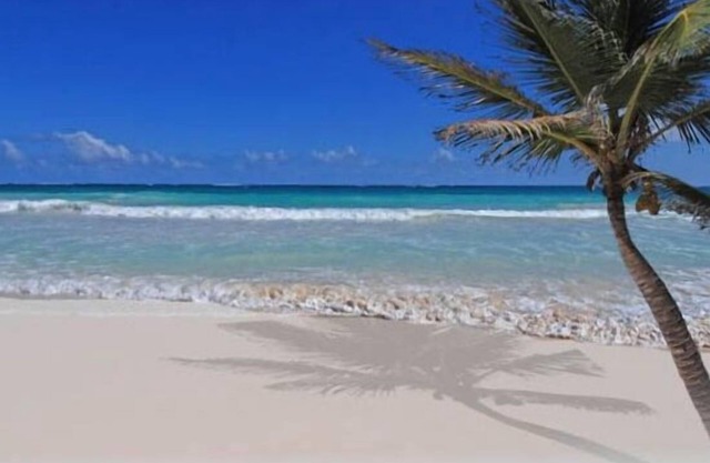Cozumel Beach Front Condo en San Francisco Beach @ Residencias