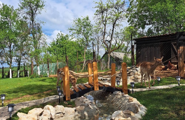 Cozy 1-bedroom apartment with jacuzzi and dears in backyard near Plitvice lakes