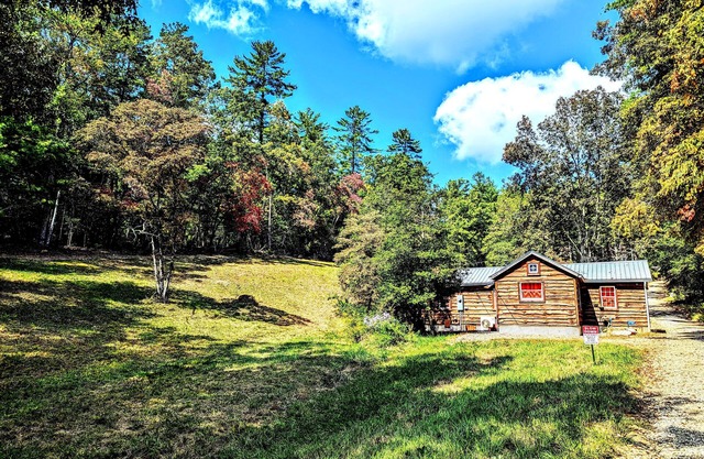 Cozy 1 - bedroom Cabin in Cooper's Creek Area