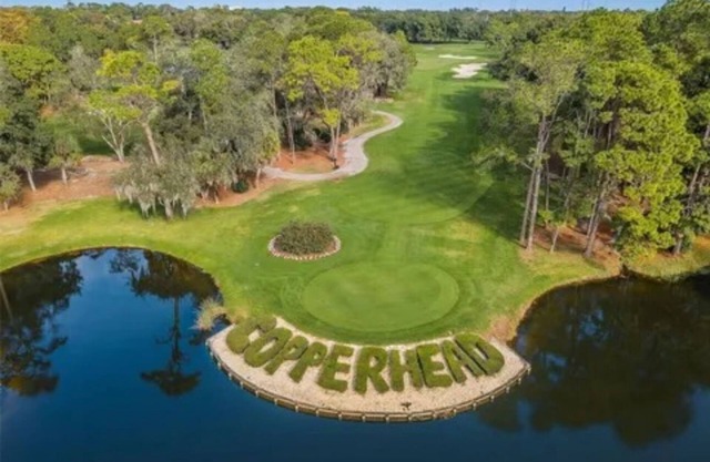 Cozy 1-bedroom condo in the heart of Innisbrook prestigious Golf Course’s