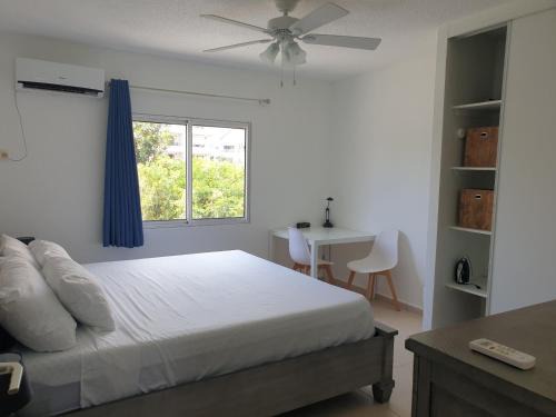 Cozy 1 Bedroom