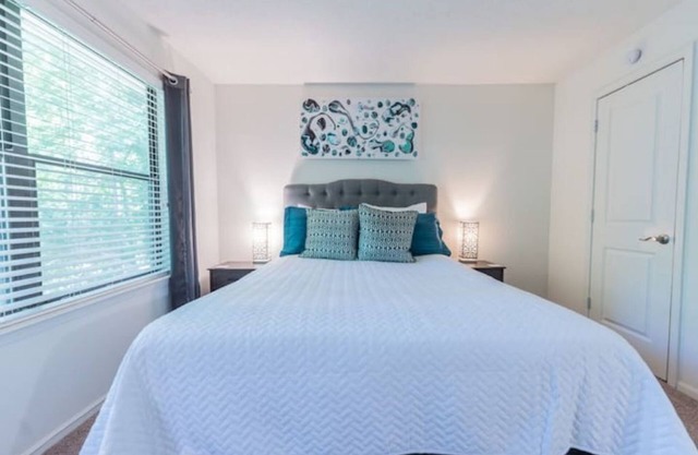Cozy 1 BR Stone Mountain Oasis Near Everything