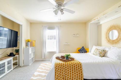 Cozy 1BR Apt - Galleria Area Free Parking