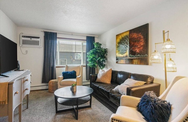 Cozy 2-bedroom apartment with WiFi & a short walk to SCSU hockey Arena!