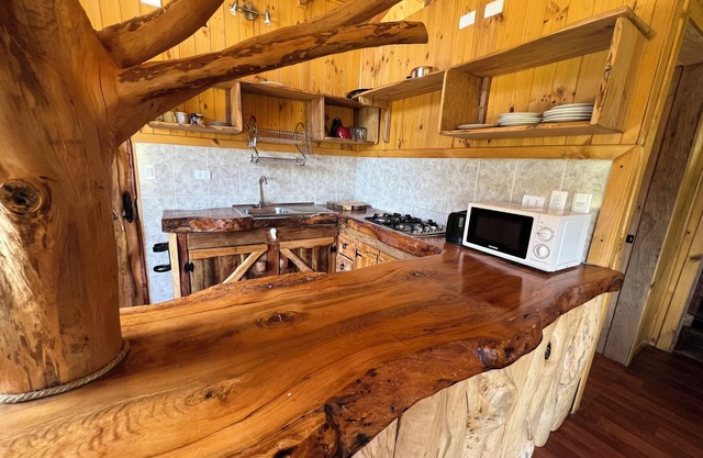 Cozy 2-bedroom cabin in wonderful Futrono with WiFi
