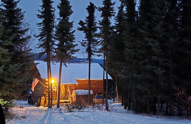 Cozy 2-bedroom cabin in lovely Healy with WiFi.