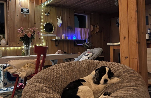 Cozy 2-bedroom chalet in fantastic Seattle with WiFi