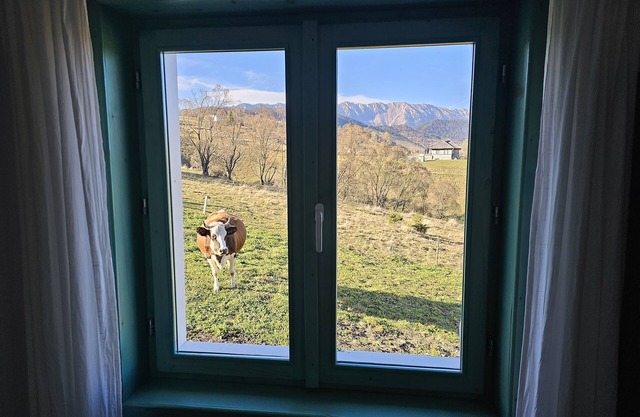 Cozy 2 bedroom house in the Romanian Carpathians