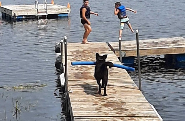Cozy 3 Bedroom Lakefront Cottage w/ Huge Deck Overlooking Lake