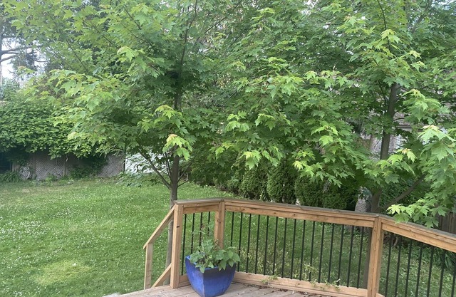 Cozy 4 Bedroom Bungalow in Lakeview Mississauga