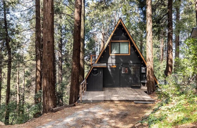 Cozy A-Frame High in The Tree Tops