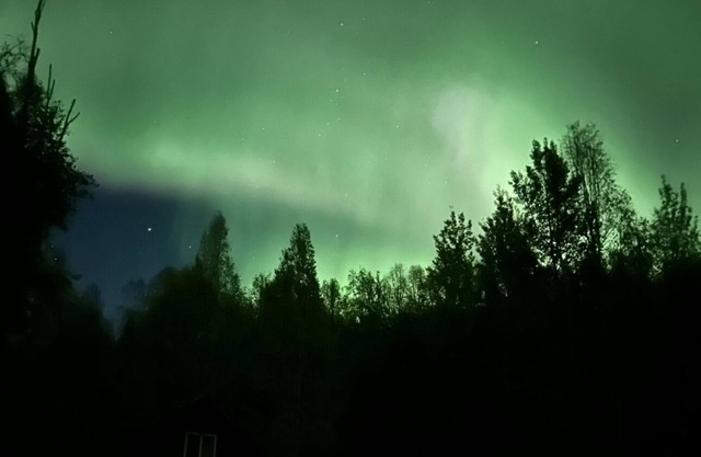 Cozy and clean Cabin in the Hills of Fairbanks. Aurora views from deck.