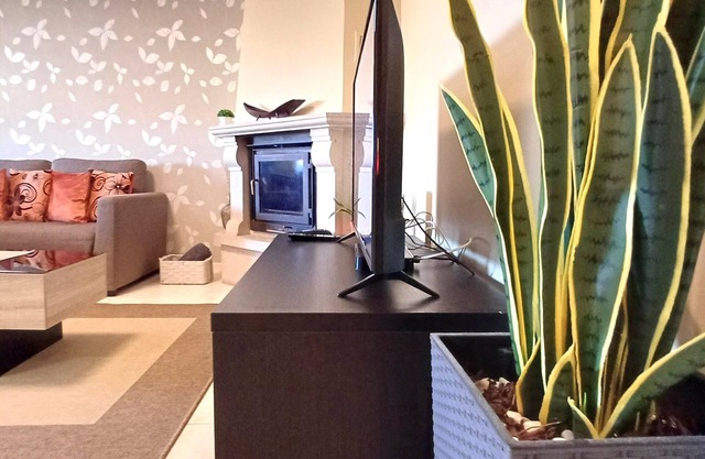 Cozy and Quiet Spacious Flat Oliveira do Douro