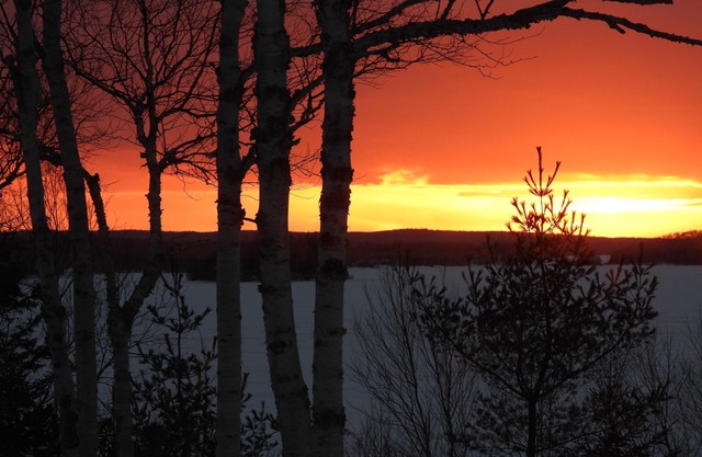 Cozy and Quiet Cottage on Mira River. Close to Sydney and Fortress of Louisburg