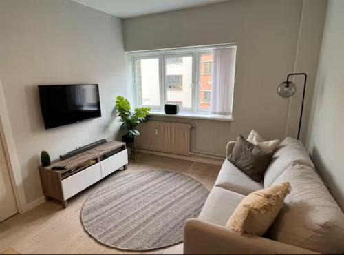 Cozy apartment centrally located