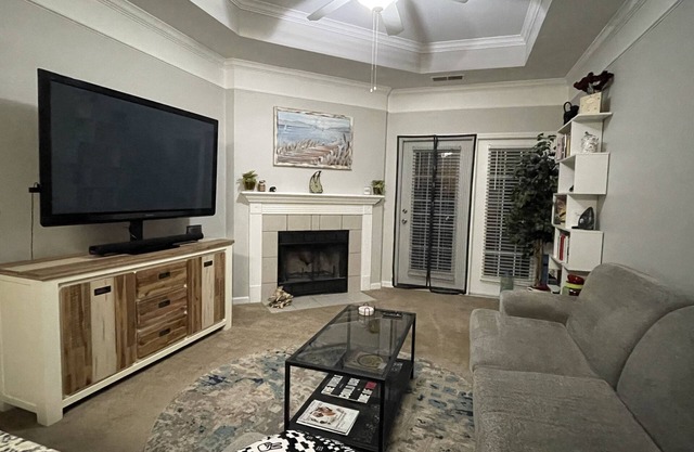 Cozy Apartment less than a 5 minute walk from the Paladium/downtown Carmel!