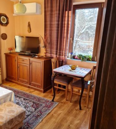 Cozy apartment with balcony