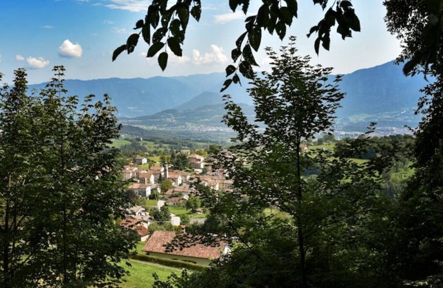 Alpine Apartment "Firei"