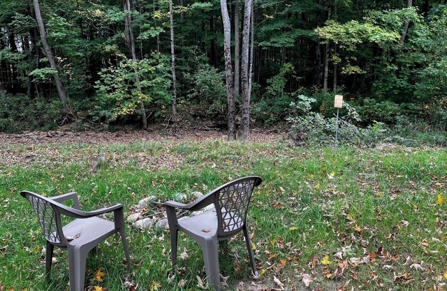 Cozy brookside campsite 2