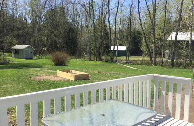 Cozy bungalow in the forest on the Bruce Peninsula. Pet friendly
