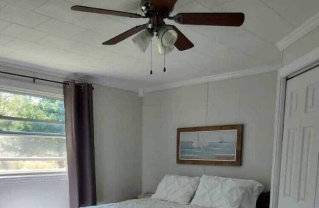 Cozy Retreat Along the Avalon Peninsula in Coastal Heart's Delight