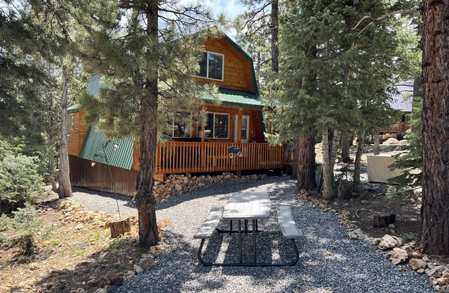 Cozy Cabin Hidden in the Pines! Explore So. Utah including Cedar, Bryce,&Zion NP