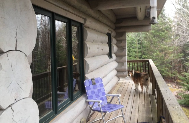 Cozy cabin in the woods