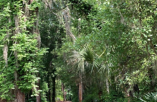 Cozy Cabin in the Woods - 10% Off Week's Stay