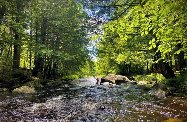 Cozy Cabin on roaring Brook