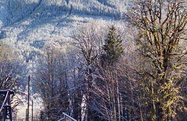 Acogedora cabaña en el río cerca de Stevens Pass. Se admiten mascotas con muchas comodidades