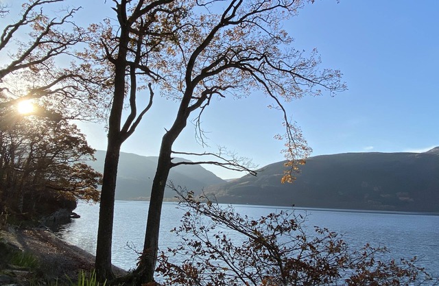 Cozy cabin retreat on the bonnie banks of Loch Lomond.
