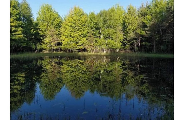 Cozy Cabin Retreat Pond & Trails – Nature Awaits!