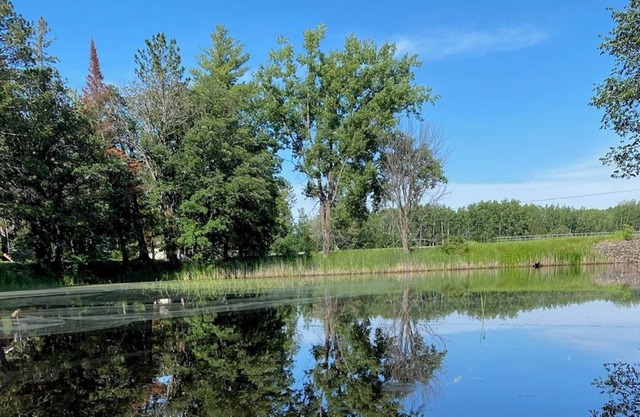 Cozy Cabin on River/ Lake Accessible One Level Private Duplex