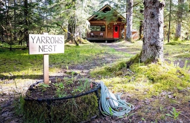 Cozy cabin w/ WiFi amongst the spruce trees adjacent to Glacier Bay Nat'l Park.