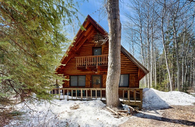 Cozy cabin with wood stove, scenic balcony & washer/dryer - near Lake Payette