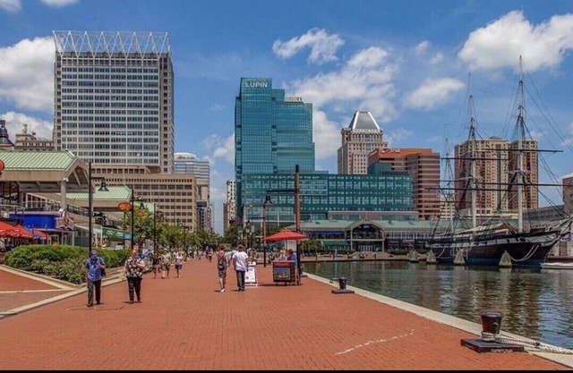 Island Chic Studio w/ Kitchenette and Bar 🥂 Separate Bath in Baltimore🦀 Canton