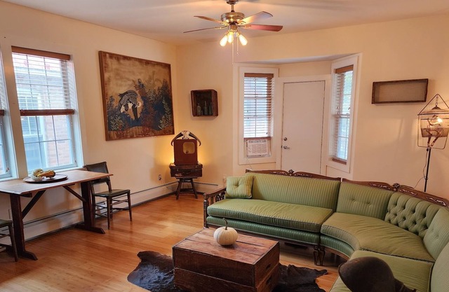 Cozy Chic Apt Nestled in the heart of Mountaindale