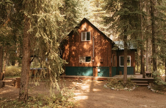 Cozy, Classic McCall Cabin Tucked in the Woods Just Off Warren Wagon w/ Hot Tub.