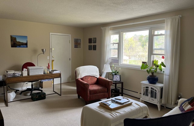 Cozy Condo, walk to town, private and bright