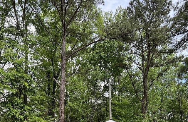 Cozy Cottage In Newnan