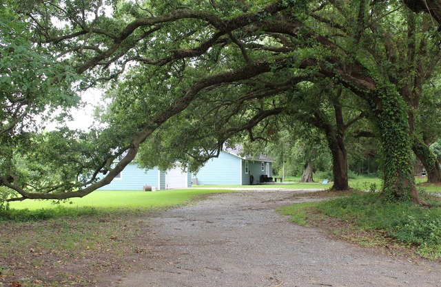 Acogedora cabaña cerca del lago (Big Lake, LA)