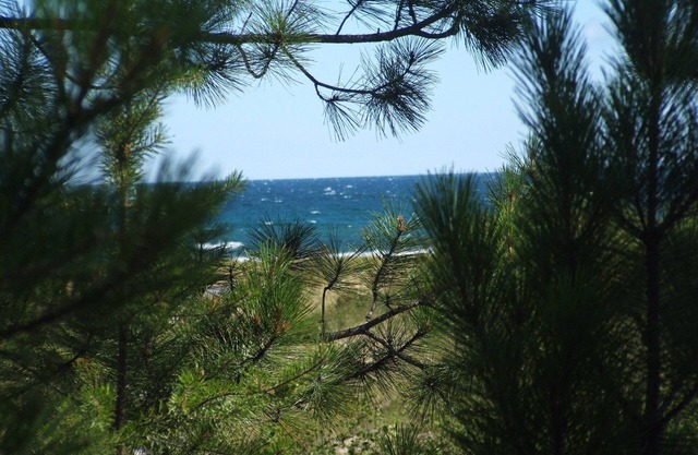 Acogedora casa de campo en el Lago Superior