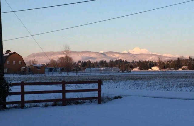 Cozy Country Cottage in the heart of Skagit Valley!