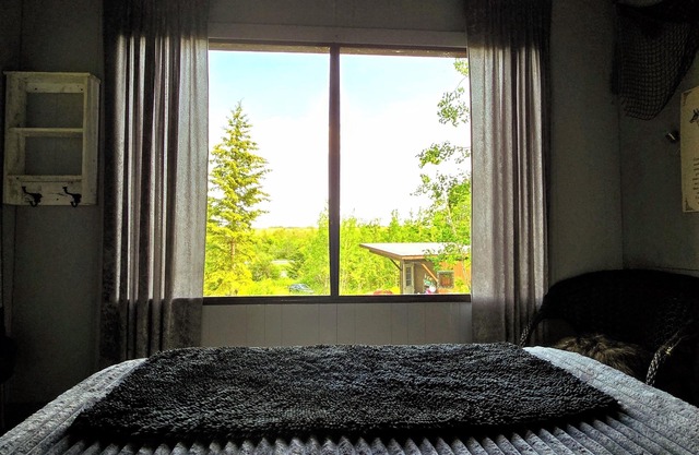 Cozy Coyote Chalet Pet friendly off grid 25 mins from downtown Edmonton