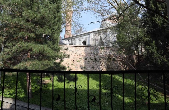 Cozy Duplex Next to Green Mosque
