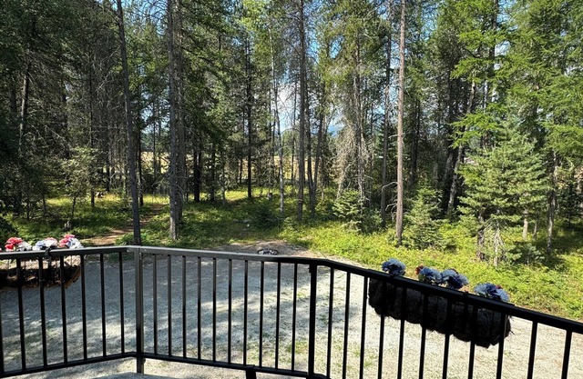 Cozy Escape Outside of Sandpoint